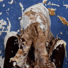 SlapstickStuff: Scarlet Gives Prospective Models A Messy Primer!