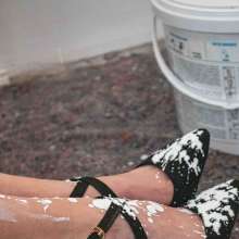 Your Wet Cat: 