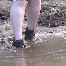 Northern Wam: Many Puddles