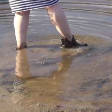Northern Wam: Many Puddles