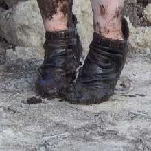 Northern Wam: Many Puddles