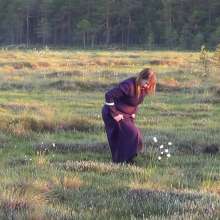 Northern Wam: Medieval Swamp