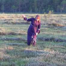 Northern Wam: Medieval Swamp