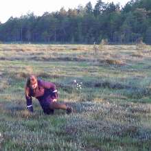 Northern Wam: Medieval Swamp