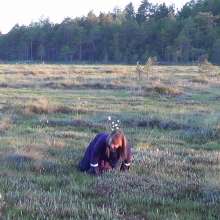 Northern Wam: Medieval Swamp