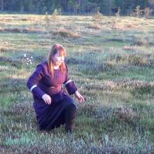 Northern Wam: Medieval Swamp