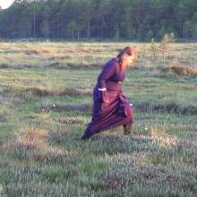 Northern Wam: Medieval Swamp