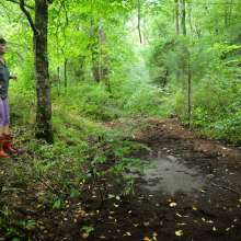 dlodoski: Just a Puddle...  Photos