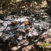 dlodoski: Nicole Exploring a Mucky Peat Pit--Photos