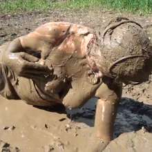 WSMProductions: Mrs. Custard Couple (Cc) in Mud Slut 5