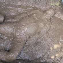 OnlyErotic_69: Part 1: Messy Adventure: Mud Pit Bathe and Mud Pour
