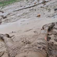 Polarwet: Mud Pit in Sport Clothes