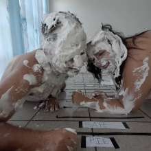 Darkabyss445: Pies in the Face Pie Game