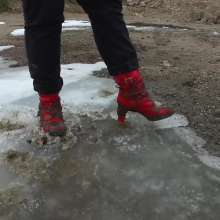 Northern Wam: Red Is Best in the Ice