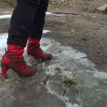 Northern Wam: Red Is Best in the Ice