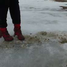 Northern Wam: Red Is Best in the Ice