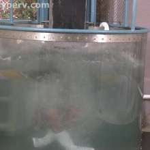 doctor_splash: New Cheerleader Dunk Tank Download