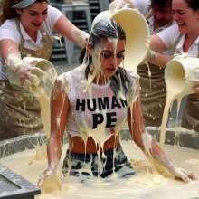 Bobographer: 'The Human Pie' game show