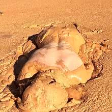 TannerQS: Clay Mud Exploring