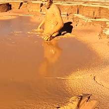 TannerQS: Clay Mud Exploring