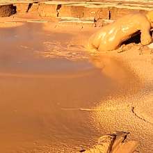 TannerQS: Clay Mud Exploring