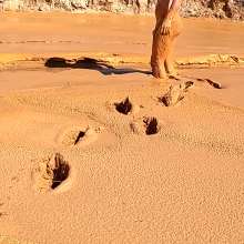 TannerQS: Clay Mud Exploring