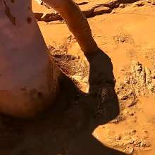 TannerQS: Clay Mud Exploring