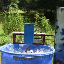 JD and Messy Andi: Alice in Wonderland Dunking!