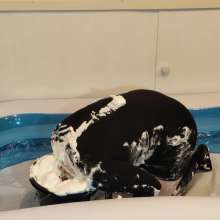 Sooty: Foamtastic Fun for Sooty