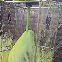 iain-ecgunge: 