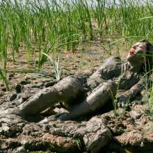 dlodoski: Mud Stomping Kym, Ultimate Edit--Photos