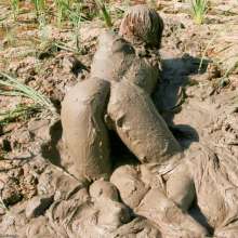 dlodoski: Mud Stomping Kym, Ultimate Edit--Photos