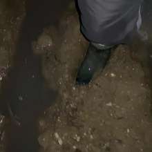 MuddySideUp: Muddy Dark Blue Wellies06