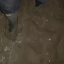MuddySideUp: Muddy Dark Blue Wellies06
