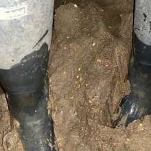 MuddySideUp: Muddy Dark Blue Wellies06