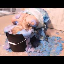 RevSlymsford: Princess Rosa: Costume Ruined, Head Dunking, Nude, Huge Pies