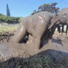 Darkabyss445: Sexy and Muddy Masturbation Extravaganza