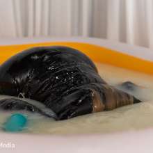 DMarieAllWet: Slimy Fun in Full Leather