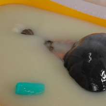 DMarieAllWet: Slimy Fun in Full Leather