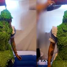 Slime Genesis: What Does the Green Potion Do?