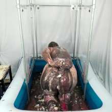 CheekyLuna: CheekyLuna's Cake Sit Gunge Tank Playtime