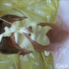Cutiepied-production: Jacob 6 :  Lying down and Messy