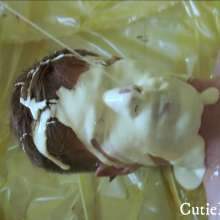 Cutiepied-production: Jacob 6 :  Lying down and Messy