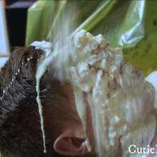 Cutiepied-production: Jacob 6 :  Lying down and Messy