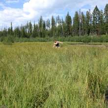 dlodoski: Catherine Goes Fast, Ultimate Edit--Photos
