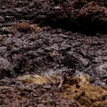 dlodoski: Talk Quicksand To Me, Star--Ultimate Edit--Photos
