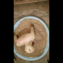 Messaroundman: Mud Pool