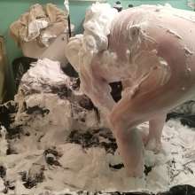 Messaroundman: On the Toilet Bowl