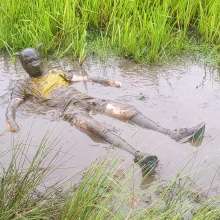 napingunge: Peter Barker's Muddy Walk
