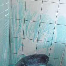 Vara: Playing in Blue Guar Slime